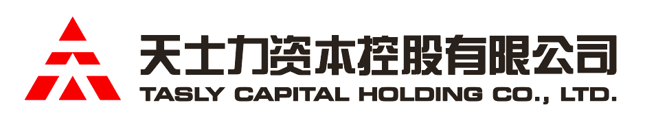 OG视讯资本控股有限公司
